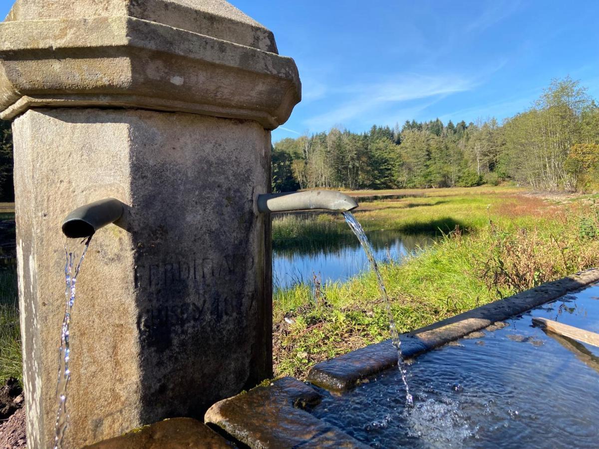 Gite Des Prary Des Mille Etangs Ternuay-Melay-et-Saint-Hilaire 외부 사진