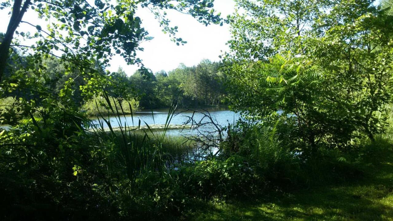 Gite Des Prary Des Mille Etangs Ternuay-Melay-et-Saint-Hilaire 외부 사진